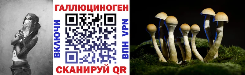 hydra   закладка  Братск  Псилоцибиновые грибы Psilocybe 