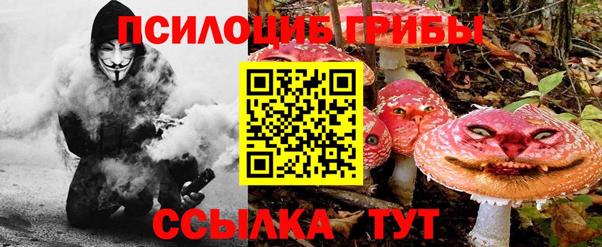 Галлюциногенные грибы мицелий Братск