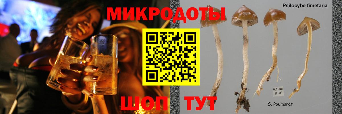 Братск  Псилоцибиновые грибы Cubensis  Вход с VPN  Псилоцибиновые грибы ЛСД 
